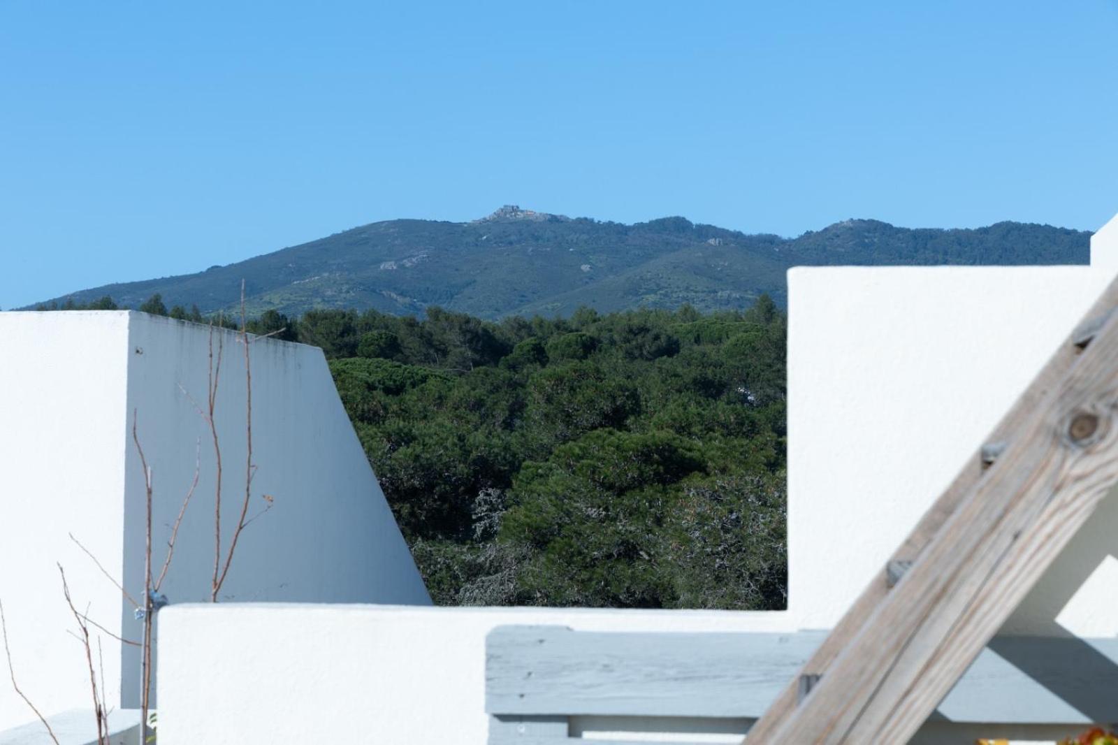 Roots House Villa Cascais Dış mekan fotoğraf
